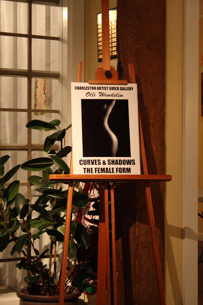 Curves & Shadows, The Female Form